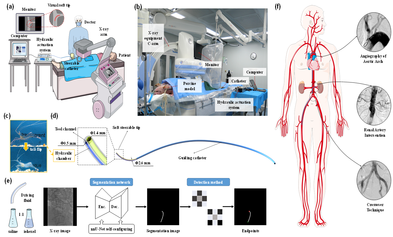 Graphical abstract