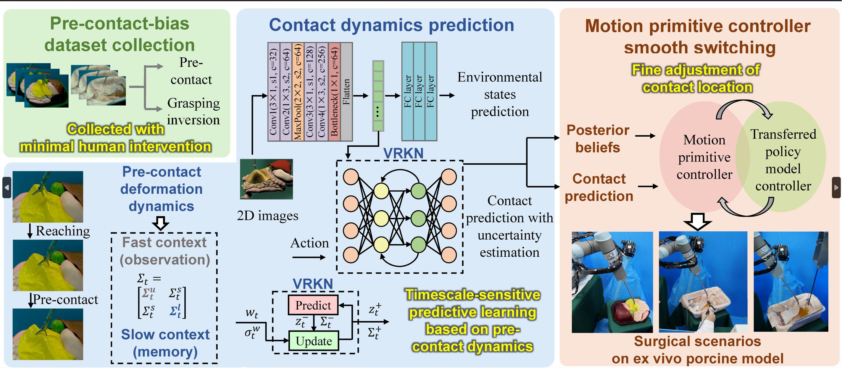 Graphical abstract