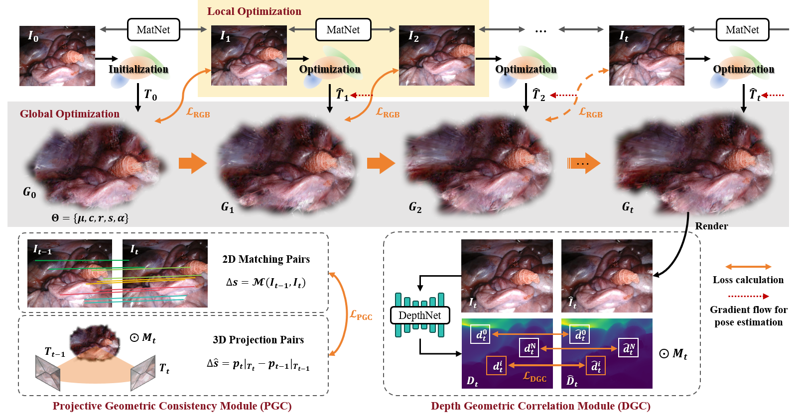 Graphical abstract