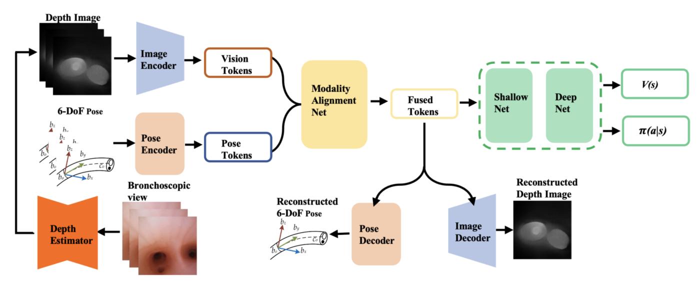 Graphical abstract