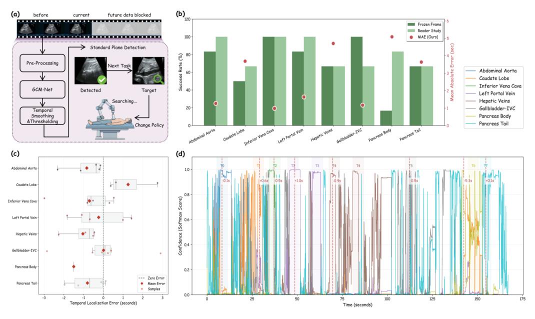Graphical abstract